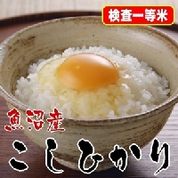 【2010年7月初旬より順次発送】 【お中元用 内のし付き(外箱には貼られません 味と価格に自信アリ!】極上一等米!平成21年産 魚沼産こしひかり玄米30Kg